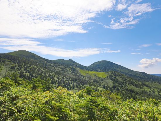 貸切観光タクシー 日本百名山に選ばれた八甲田山へ！初夏の新緑、秋の紅葉も見事♪5時間半コース＜1～9名／通年／八戸市内発青森市内お送り＞