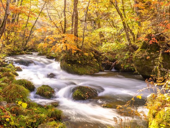貸切観光タクシー 八甲田山と奥入瀬渓流散策コース＜八戸駅・八戸市内発十和田湖周辺着／7時間＞by ポストタクシー