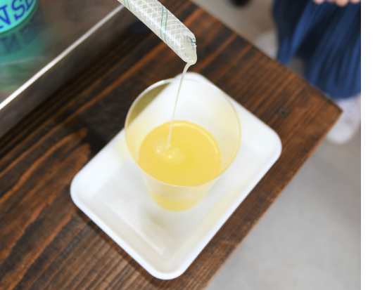 椿油搾り体験　五島の島の恵みをお裾分け 美肌・美髪に人気の椿油作り 搾油目安量15ml ＜中通島・新上五島町＞ by 矢堅目の塩本舗