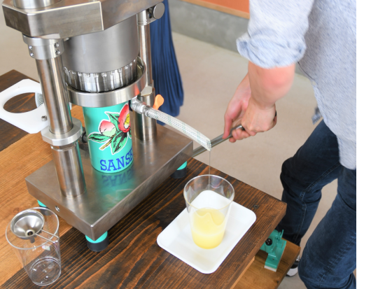 椿油搾り体験　五島の島の恵みをお裾分け 美肌・美髪に人気の椿油作り 搾油目安量15ml ＜中通島・新上五島町＞ by 矢堅目の塩本舗