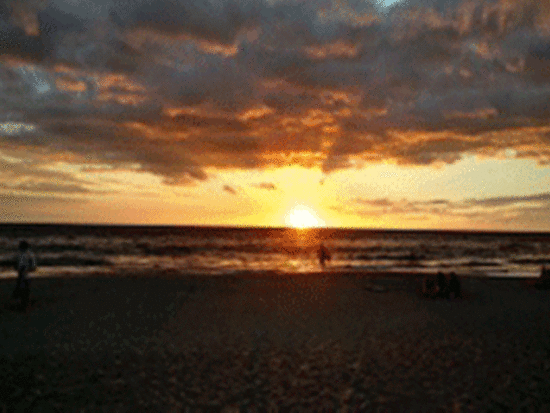 マウナケア山麓　夜の星空観測ツアー＆サンセット観賞　貸切プランあり＜夕方発／日本語ガイド＞ by ハワイ観光