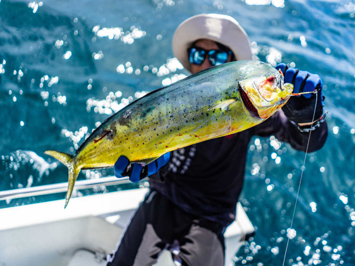 Big Catch Fishing Tackle - Shimano Summit Cap