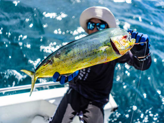 Five Star Sportfishing Hawaii - Updated 2024 Prices