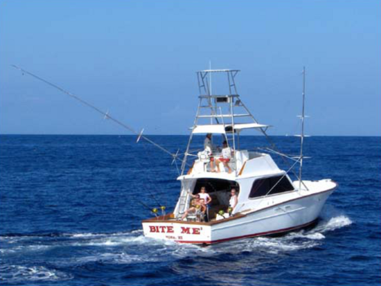 スポーツフィッシングツアー　貸切または混載　釣り具レンタル付きで気軽に参加OK!＜4・6・8時間／ホノコハウ湾＞by Bite Me 3 Corporation