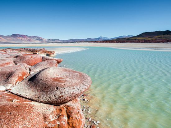 アタカマ高地の湖をめぐる！ミスカンティー湖＆ミニケス湖＆アタカマ塩湖 観光ツアー＜昼食付／英語ガイド／サン・ペドロ・デ・アタカマ発＞
