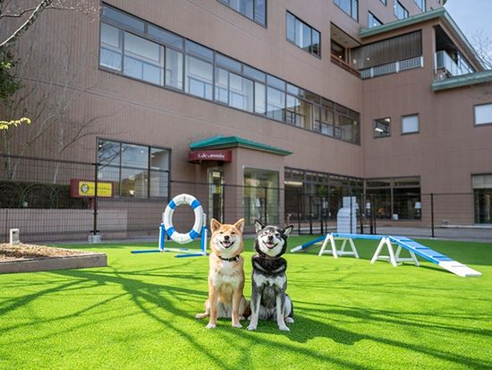 img_hamanako_wanwan_dogrun_735_480