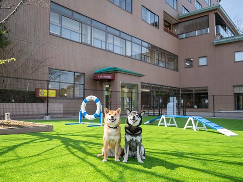 img_hamanako_wanwan_dogrun_735_480