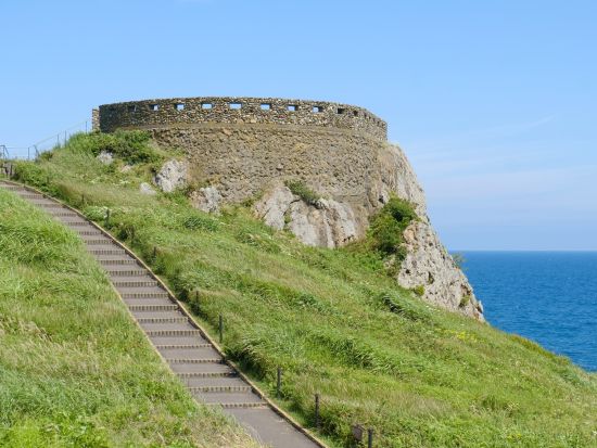 種差海岸トレッキング 蕪島から大須賀海岸へ！ウミネコ、650種を超える植物、葦毛崎展望台や鳴き砂… 魅力をたっぷり満喫＜7歳以上／通年／半日／八戸市＞
