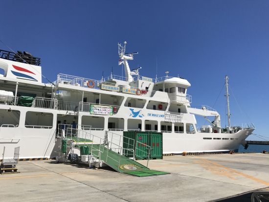 母島 プライベートツアー アレンジ自由自在のプライベート観光ツアー選べるガイドのみ または 車両付き＜3時間～／小笠原諸島・母島発＞