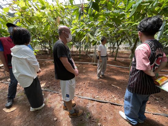 母島 農園見学 小笠原の特産品「島レモン」レモンジャム体験または選べるカカオニブ体験＜1～2時間／父島からの日帰り参加OK／小笠原諸島・母島発＞