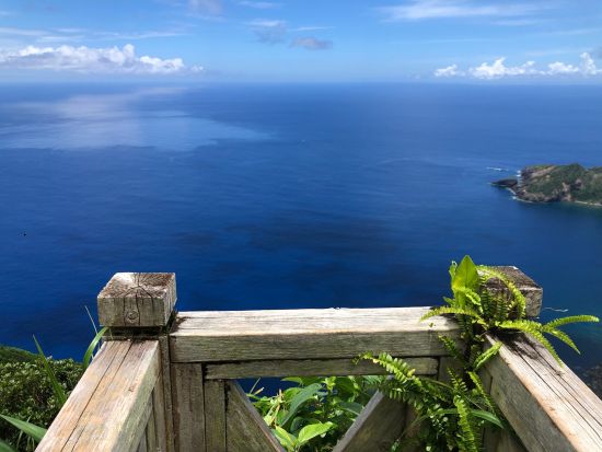 母島トレッキングツアー 島の固有種を観察しながら歩く 乳房山西ルートから山頂を目指す本格コース  山頂は島々を見渡せる絶景スポット＜6時間／小笠原諸島・母島発＞