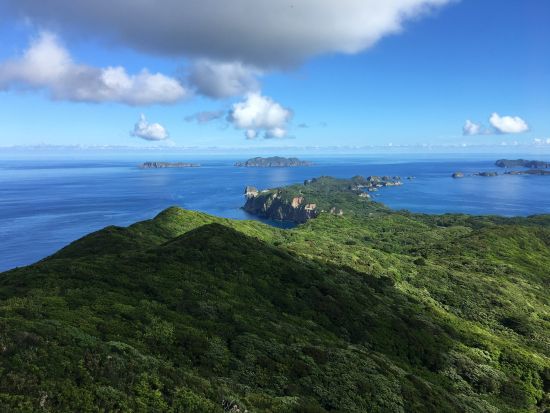 母島満喫3日間パックプラン！島内観光・トレッキング・ガイドおまかせ体験を贅沢に全て堪能しよう＜小笠原諸島・母島発＞