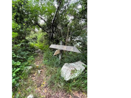 母島ウォーキングツアー　現地ガイドと行く！小剣先山の絶景＆集落散策ツアー＜1時間／父島からの日帰り参加OK／小笠原諸島・母島発＞