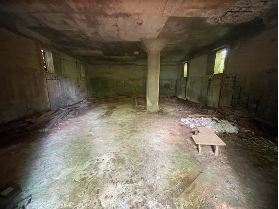 母島ウォーキングツアー　現地ガイドと行く！島に残る戦跡と手つかずの自然を巡る半日ツアー＜3時間／父島からの日帰り参加OK／小笠原諸島・母島発＞