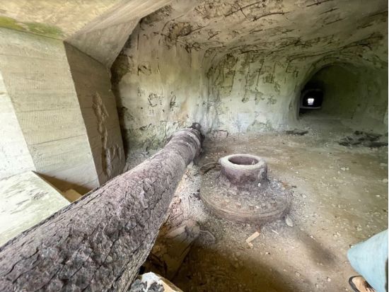 母島ウォーキングツアー　現地ガイドと行く！島に残る戦跡と手つかずの自然を巡る半日ツアー＜3時間／父島からの日帰り参加OK／小笠原諸島・母島発＞