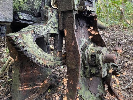 母島ウォーキングツアー　現地ガイドと行く！島に残る戦跡と手つかずの自然を巡る半日ツアー＜3時間／父島からの日帰り参加OK／小笠原諸島・母島発＞