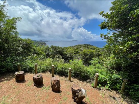 母島ウォーキングツアー　現地ガイドと行く！島に残る戦跡と手つかずの自然を巡る半日ツアー＜3時間／父島からの日帰り参加OK／小笠原諸島・母島発＞