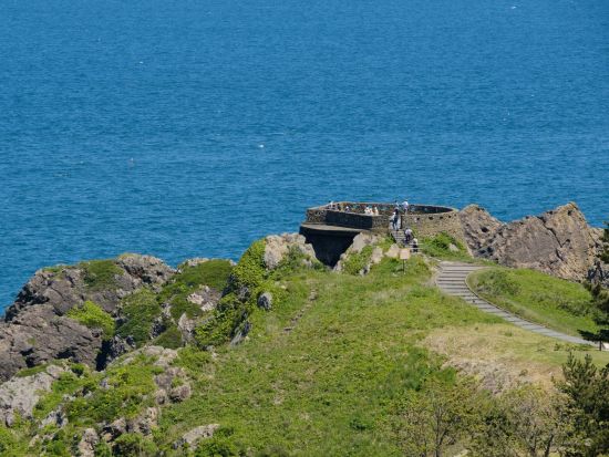 貸切観光タクシー 三陸復興国立公園種差海岸と蕪島・葦毛崎展望台を巡る花の散策旅＜3時間／6～9月／八戸駅発・八戸駅または八戸市内着＞ by ポストタクシー