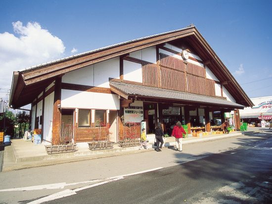 宮崎市内発着貸切観光タクシー  宮崎市内の観光から照葉大吊橋やワイナリーがアイコニックの綾をめぐる2つのコース ＜約5～6時間＞ by宮交タクシー