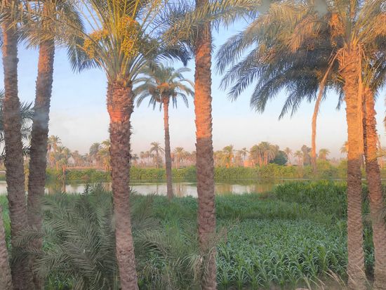 寝台列車 景色 中部地方１