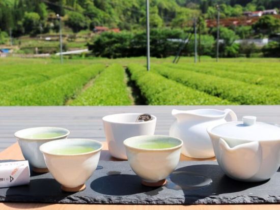 茶畑の中に作られた「お茶テラス」で愉しむ煎茶体験「秀翠園」4代目に教わる美味しいお茶の淹れ方＆飲み比べ＜お茶菓子付き／1.5時間／津和野町＞