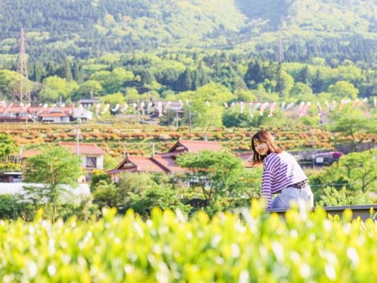 茶畑の中に作られた「お茶テラス」で愉しむ煎茶体験「秀翠園」4代目に教わる美味しいお茶の淹れ方＆飲み比べ＜お茶菓子付き／1.5時間／津和野町＞