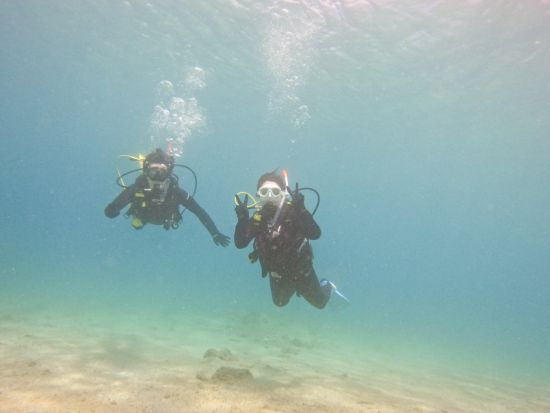 体験ダイビング半日ツアー　ビーチエントリー1ダイブ　奄美群島エコツアー登録ガイド新屋さんがご案内 ＜龍郷町＞ by LeapScubaAmami
