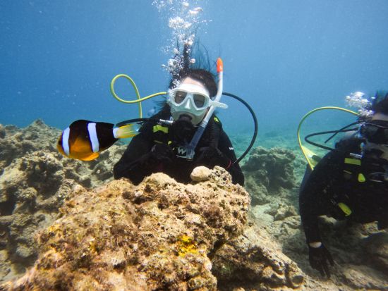 体験ダイビング半日ツアー　ビーチエントリー1ダイブ　奄美群島エコツアー登録ガイド新屋さんがご案内 ＜龍郷町＞ by LeapScubaAmami