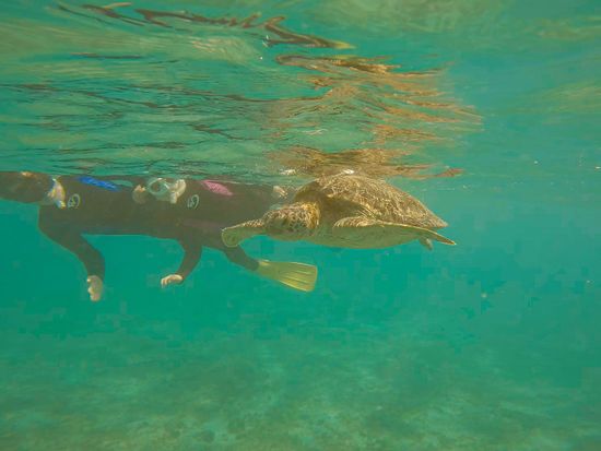 20220816-シュノーケル04