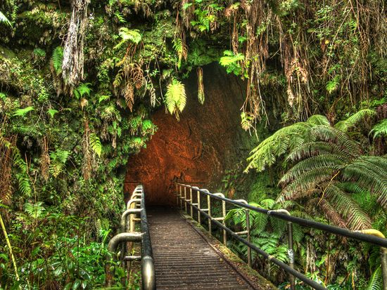 shutterstock_34434802