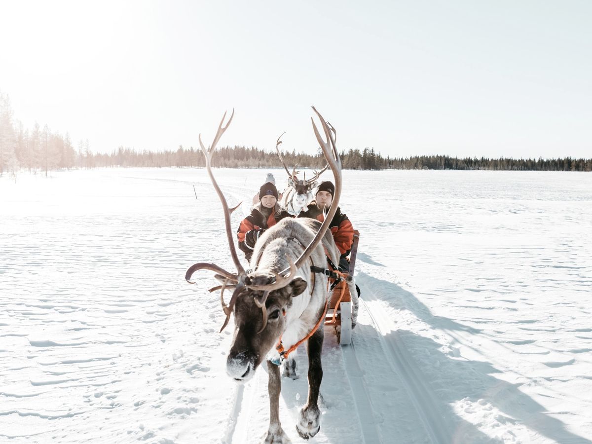 20220818055528_1329732134_2669