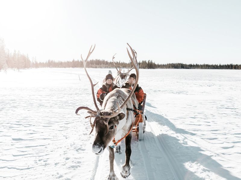 c4a2163a-aa13-4ec7-94cb-60cbdde5aab2