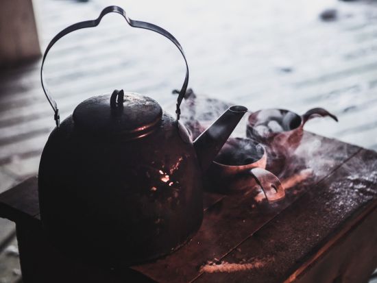 トナカイぞりで行く！トナカイサファリ半日ツアー 温かい飲み物とスナック付き＜12～4月初旬／午後・夜／ロヴァニエミ発＞