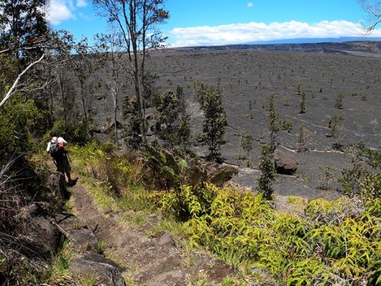 貸切チャーター　名物ガイド和田タイチョーとキラウエア・カルデラの火口底を目指すハイキング＜1～12名／11時間／日本語ガイド／ハワイ島＞