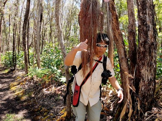 貸切チャーター　名物ガイド和田タイチョーとキラウエア・カルデラの火口底を目指すハイキング＜1～12名／11時間／日本語ガイド／ハワイ島＞