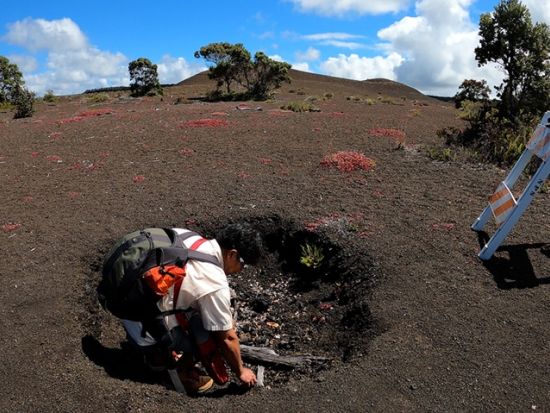 貸切チャーター　名物ガイド和田タイチョーとキラウエア・カルデラの火口底を目指すハイキング＜1～12名／11時間／日本語ガイド／ハワイ島＞