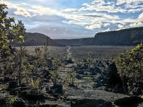 貸切チャーター　名物ガイド和田タイチョーとキラウエア・イキ＆サーストンラバチューブをハイキング＜1～12名／11.5時間／日本語ガイド／ハワイ島＞