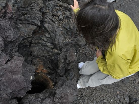 貸切チャーター　名物ガイド和田タイチョーと行く！キラウエア・大自然の奇妙なオブジェ“溶岩樹”の森ハイキング＜1～12名／11時間／日本語ガイド／ハワイ島＞