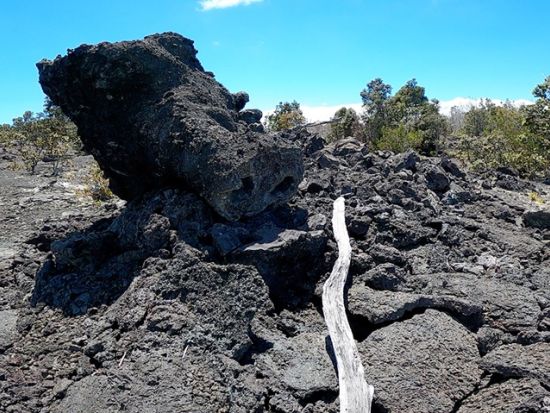 貸切チャーター　名物ガイド和田タイチョーと行く！キラウエア・大自然の奇妙なオブジェ“溶岩樹”の森ハイキング＜1～12名／11時間／日本語ガイド／ハワイ島＞