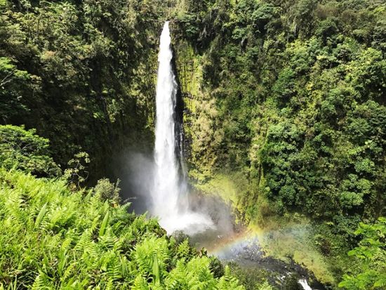 貸切チャーター　名物ガイド和田タイチョーと巡るハワイ島の魅力たっぷりハマクアコースト＜1～12名／10.5時間／日本語ガイド／ハワイ島＞