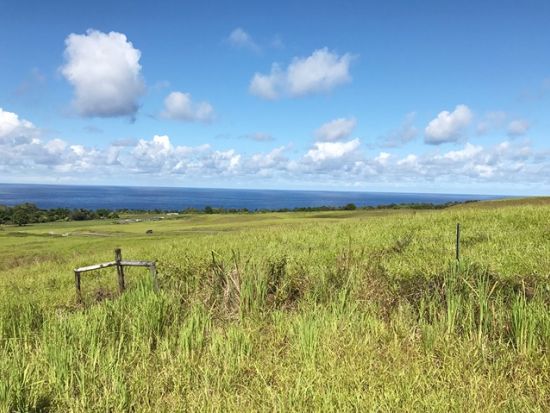 貸切チャーター　名物ガイド和田タイチョーと巡るハワイ島の魅力たっぷりハマクアコースト＜1～12名／10.5時間／日本語ガイド／ハワイ島＞