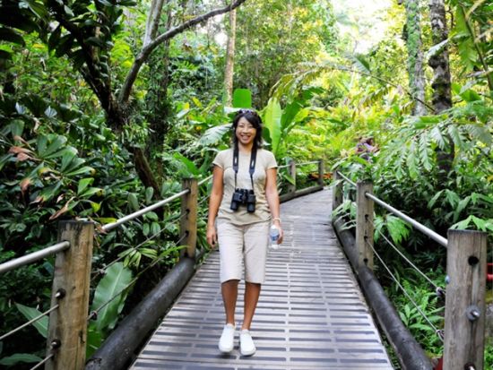 貸切チャーター　名物ガイド和田タイチョーと巡るハワイ島の魅力たっぷりハマクアコースト＜1～12名／10.5時間／日本語ガイド／ハワイ島＞