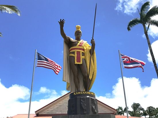 貸切チャーター　名物ガイド和田タイチョーと巡る緑豊かな美しい大自然ノースコハラ＜1～12名／8.5時間／日本語ガイド／ハワイ島＞