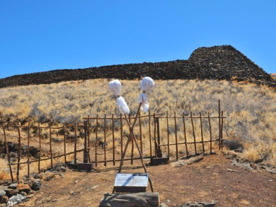 貸切チャーター　名物ガイド和田タイチョーと巡る緑豊かな美しい大自然ノースコハラ＜1～12名／8.5時間／日本語ガイド／ハワイ島＞