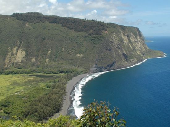 貸切チャーター　名物ガイド和田タイチョーと巡る緑豊かな美しい大自然ノースコハラ＜1～12名／8.5時間／日本語ガイド／ハワイ島＞