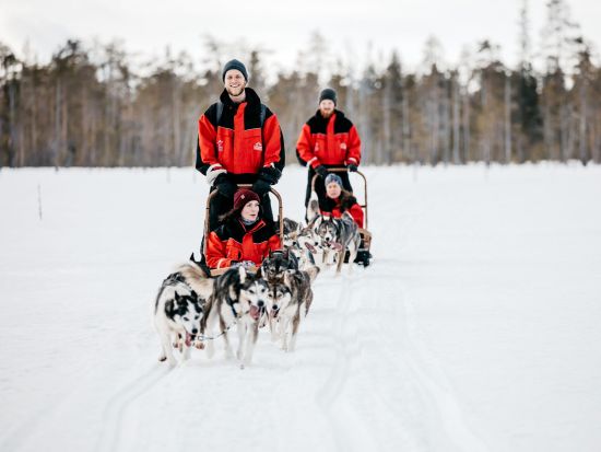 ファミリーにおすすめ！ハスキーキャンプで犬ぞり体験ツアー 防寒具貸し出し＆ホットドリンク付き＜12～4月初旬／ロヴァニエミ発＞