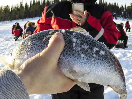 スノーモービルで行く！アイスフィッシング＆スノーシュー体験ツアー＜12～4月初旬／昼食付／ロヴァニエミ発＞