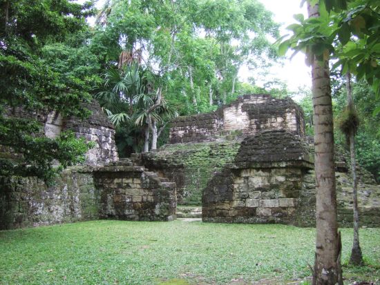 世界遺産ティカル遺跡1泊2日ツアー＜食事付／英語ガイド／アンティグアまたはグアテマラシティ発＞