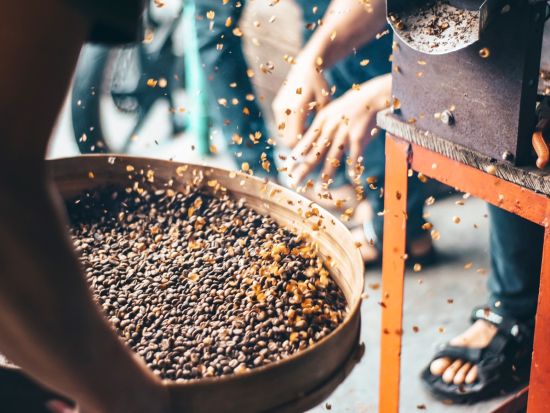 ハリスコの魔法の村 サン・セバスチャン・デル・オエステ市内散策＋テキーラ&コーヒー農園見学ツアー＜英語／昼食付／テキーラ試飲付／送迎付／プエルト・バジャルタ発＞