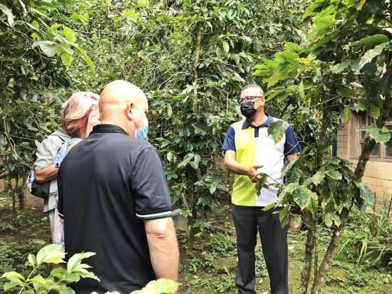 ハリスコの魔法の村 サン・セバスチャン・デル・オエステ市内散策＋テキーラ&コーヒー農園見学ツアー＜英語／昼食付／テキーラ試飲付／送迎付／プエルト・バジャルタ発＞